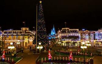 Large Christmas Tree In Disneyland Widescreen And Full HD Wallpaper