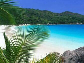 Tropical Paradise High Quality And Resolution Wallpaper