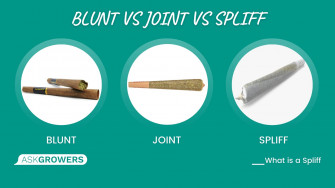 Smoke A Blunt Wallpaper