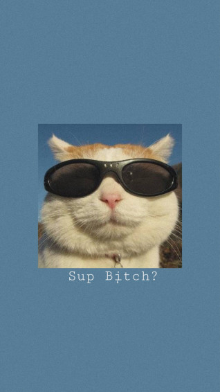 Funny Aesthetic Wallpaper