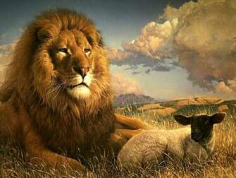 Wallpaper Lion Background Screensavers King