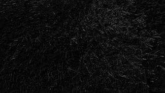 Black Plain HD Background Wallpaper Amazing Wallpaperz