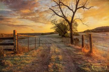 Frosty Fall Morning Digital Art By John Gadcke Pixels