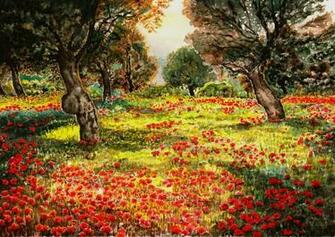 Apple Orchard Wallpaper Tree With