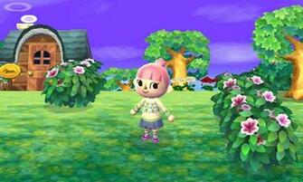 Animal Crossing New Leaf Video Game Wallpaper Of