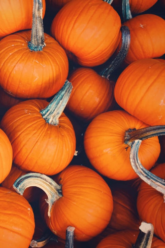 Stunning Fall Wallpaper For Your iPhone Prada Pearls