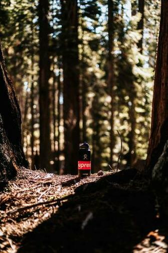Hypebeast Pictures Image