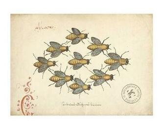 Vintage Bee Wallpaper Abeilles