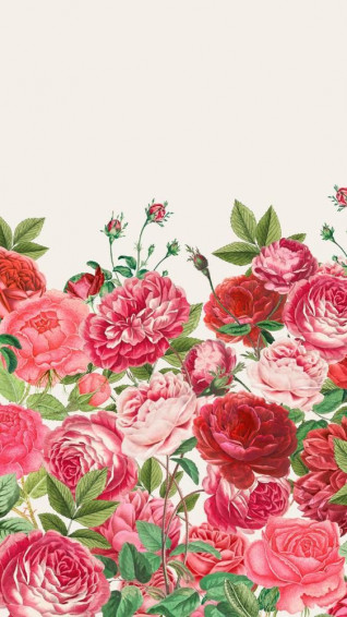 Valentines Flowers Wallpaper For Phone