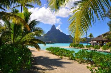 Bora Resort Beach French Polynesia Mountain Palm Trees