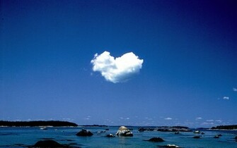 Love Nature Wallpaper