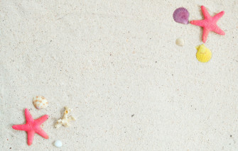 Wallpaper Sand Beach Background Star Shell Summer