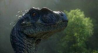 Comparing Velociraptors From Jurassic Park The Lost World