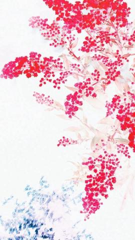 Apple Red White Flower Ios9 iPhone 5s Wallpaper