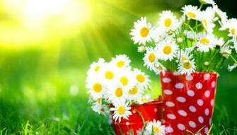 Beautiful Flowers Desktop Background Sudingfamily