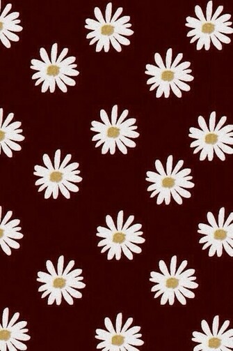 Daisy Wallpaper