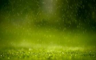 Spring Wallpaper