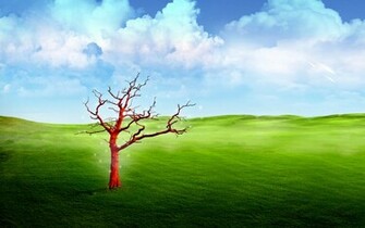 Fantasy Landscape Wallpaper HD