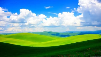 Windows Wallpaper
