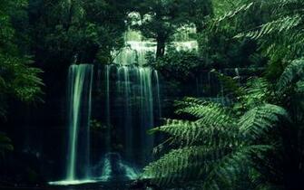Forest Waterfalls Wallpaper High Quality