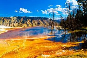 Yellowstone National Park High Quality And Resolution