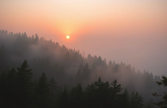Lightroom Wallpaper