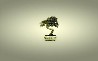 Bonsai Japan Tree Art HD Wallpaper Stock Photos Nature