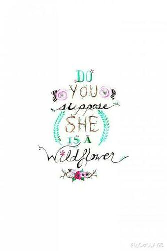 Alice In Wonderland Quote iPhone Wallpaper Ipod