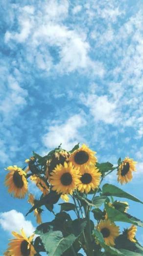 Aesthetic Cartoon Wallpaper iPhone Sthetische Karikatur Tapete