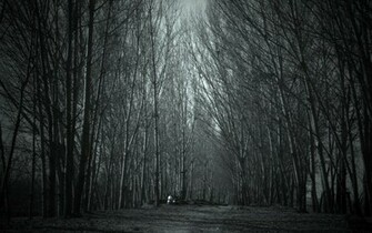 Mac Wallpaper Forest Haunted Macbook Retina