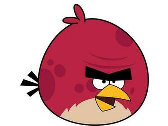 Exceptional Angry Birds Pictures