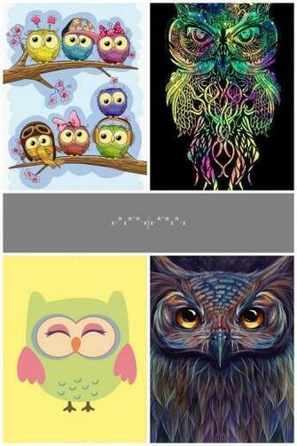Owl Wallpaper