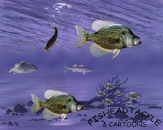 Go Back Gallery For Crappie Wallpaper