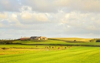 Denmark Countryside Wallpaper