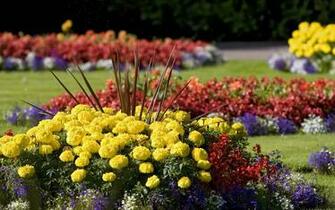 Desktop Wallpaper Of Colourful Summer Flower Beds At The Radcliffe