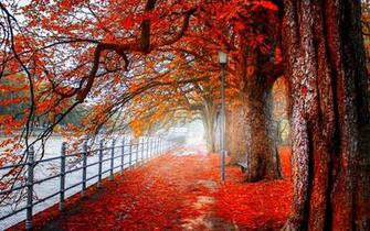Autmn Landscape 4k Ultra HD Wallpaper Net