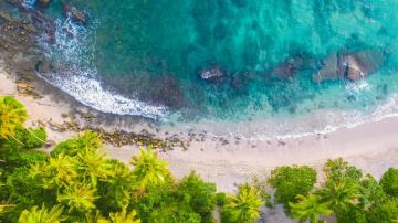 Wallpaper Top Palm Trees Rocks Water Nature Beach