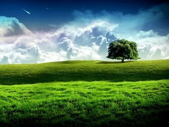 Wallpaper Nature Nice