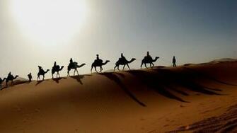 Caravan On A Dune Wallpaper