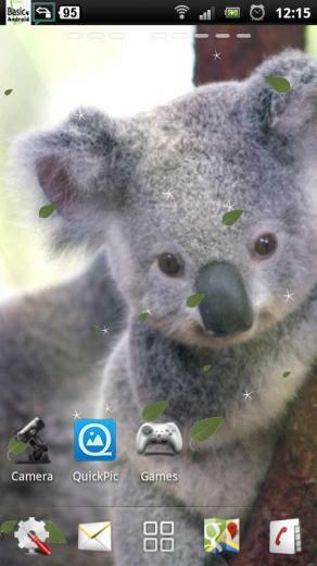 Baby Koala Live Wallpaper Android Apps On Google Play