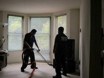 Identify Bedbugs In Your Home And Tackle Them On Own