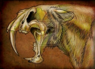 Go Back Gallery For Saber Tooth Tiger Wallpaper HD