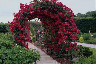 Rose Garden Wallpaper Gallery