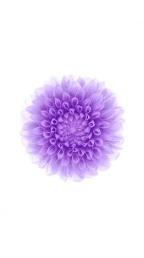 For Apple Ios And iPhone Wallpaper Of With X Pixels