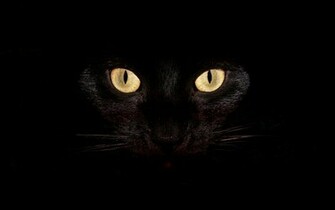 Black Cat Desktop Background Wallpaper