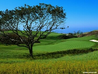 Golf Desktop Wallpaper Background Weddingdressin