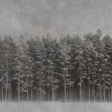 Instabilelab Wallpaper Black Forest