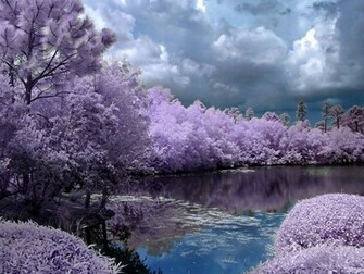 Tags Beautiful Nature Pic Season Spring