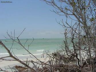 Gulf Coast Of Florida Desktop Wallpaper Background The
