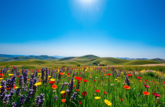 Beautiful Wallpaper And Screensavers